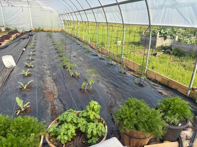 4335 Dauncy Road, Berlin Twp, MI 48134