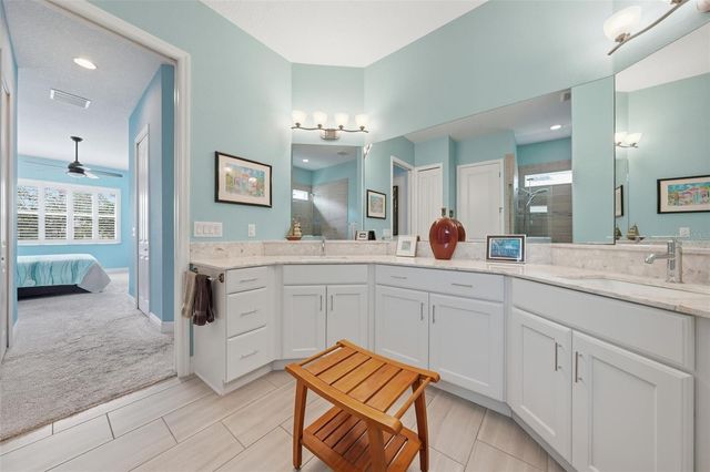 8707 PROVIDENCE CT, Mount Dora, FL 32757