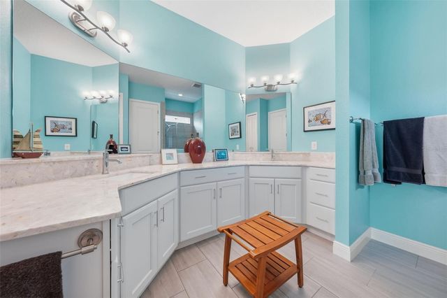 8707 PROVIDENCE CT, Mount Dora, FL 32757
