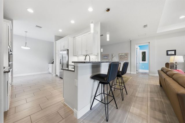 8707 PROVIDENCE CT, Mount Dora, FL 32757