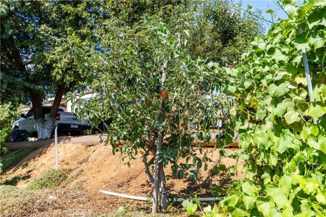 35095 Metz Road, Soledad, CA 93960