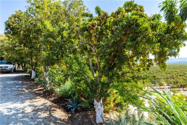 35095 Metz Road, Soledad, CA 93960