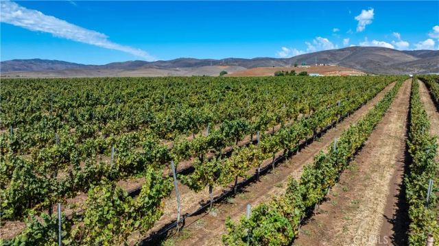 35095 Metz Road, Soledad, CA 93960