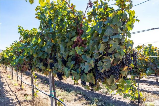 35095 Metz Road, Soledad, CA 93960