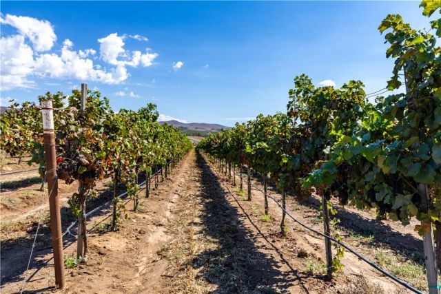 35095 Metz Road, Soledad, CA 93960