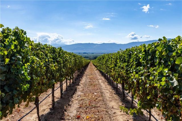 35095 Metz Road, Soledad, CA 93960