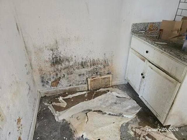 15821 Indiana Street, Detroit, MI 48238