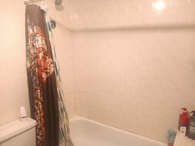 1436 S Karlov Avenue, Chicago, IL 60623