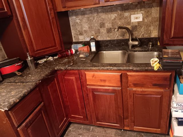 1436 S Karlov Avenue, Chicago, IL 60623