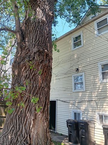 1436 S Karlov Avenue, Chicago, IL 60623