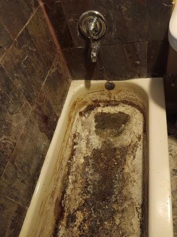 1436 S Karlov Avenue, Chicago, IL 60623