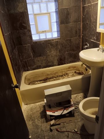 1436 S Karlov Avenue, Chicago, IL 60623