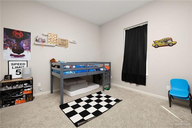 14220 Big Creek Road, Mcallen, TX 78504