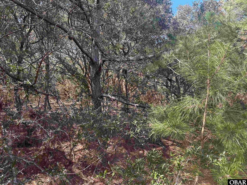 Image 8 of property listing at 2392 Sandpiper Road Lot 4, Corolla, NC 27927
