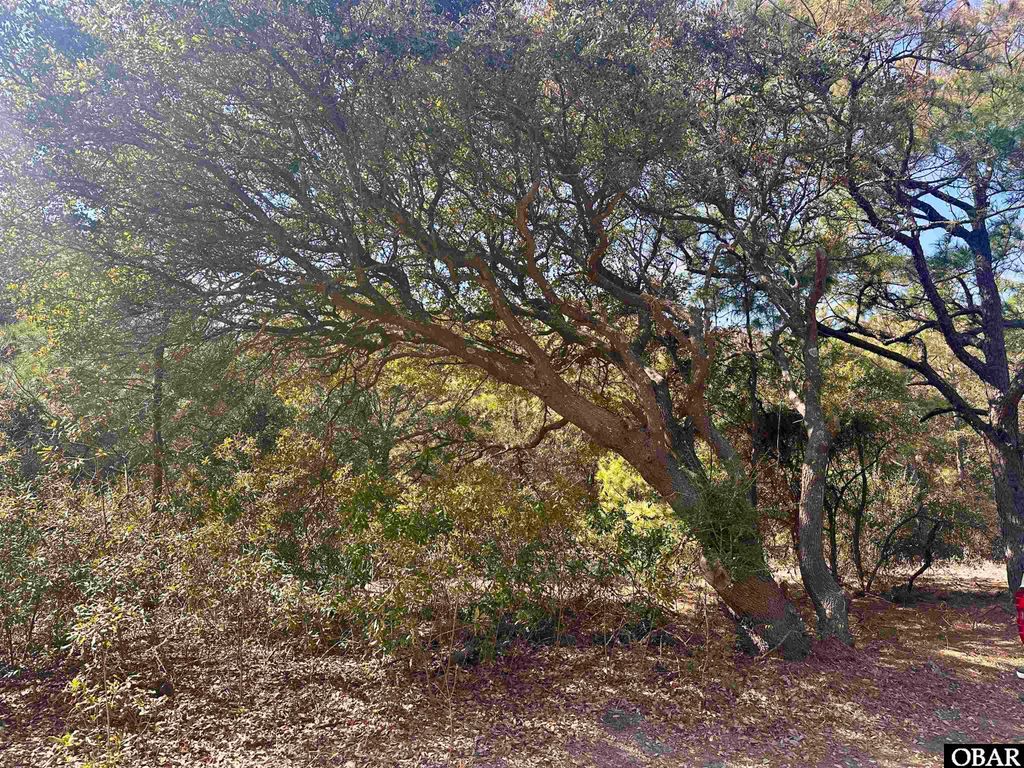Image 6 of property listing at 2392 Sandpiper Road Lot 4, Corolla, NC 27927