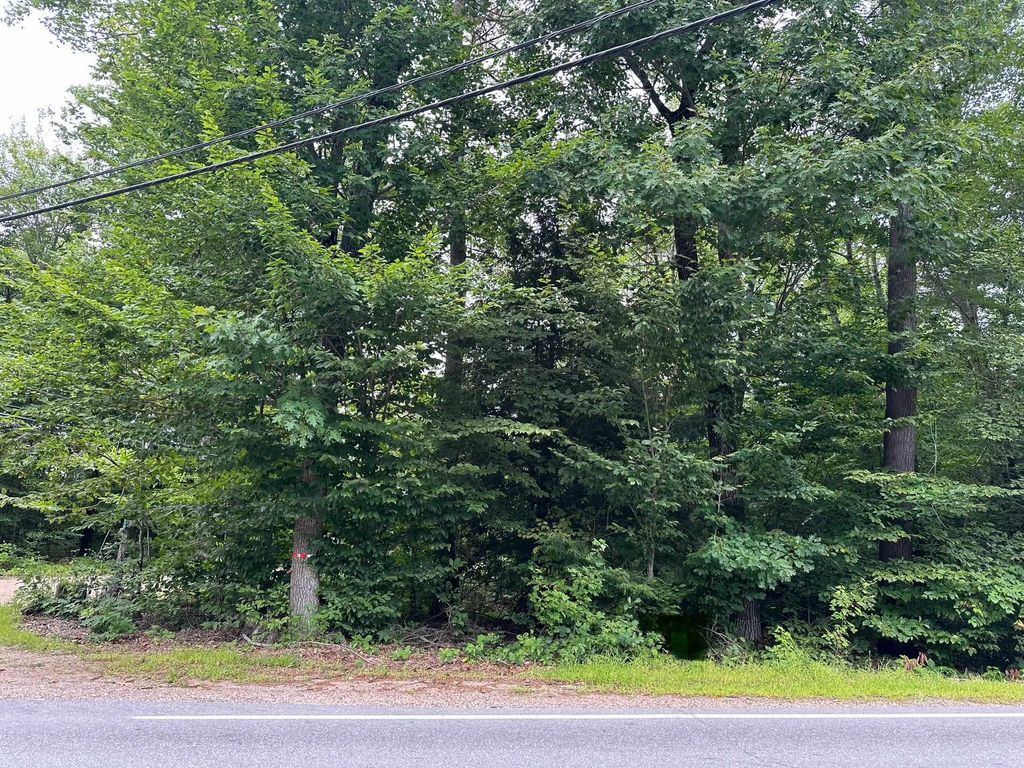 Fox Road Lot 55, Middleton, NH 03887