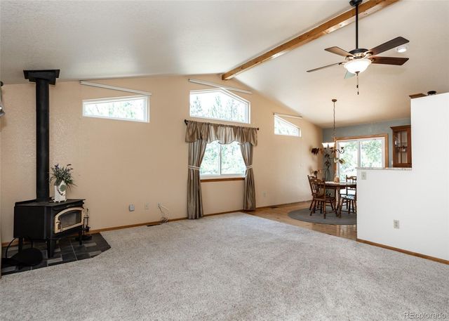 2602 Southpark Road, Florissant, CO 80816