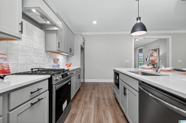 3448 BLACKRIDGE CIRCLE, Hoover, AL 35244