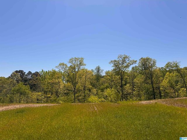 3448 BLACKRIDGE CIRCLE, Hoover, AL 35244