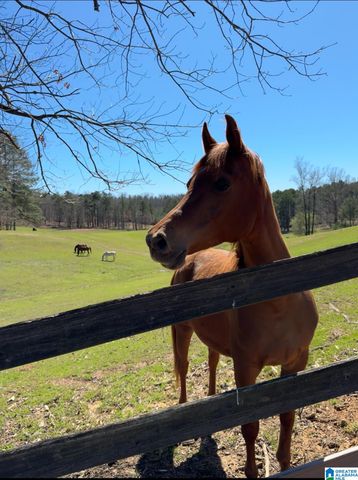 3448 BLACKRIDGE CIRCLE, Hoover, AL 35244