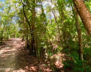 Will Thompson Road, Picayune, MS 39466