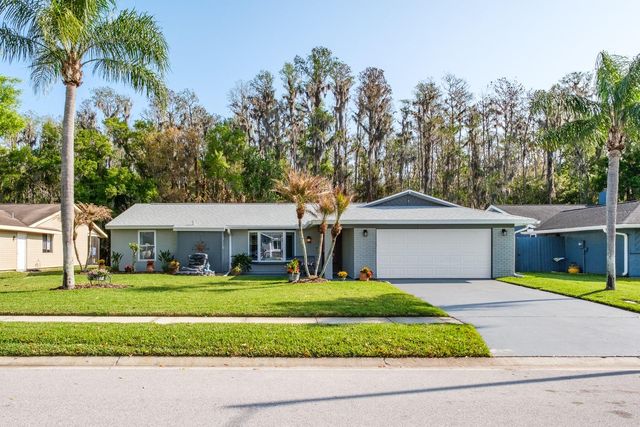 509 LAKEVIEW DRIVE, Oldsmar, FL 34677