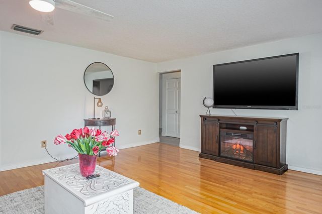 509 LAKEVIEW DRIVE, Oldsmar, FL 34677