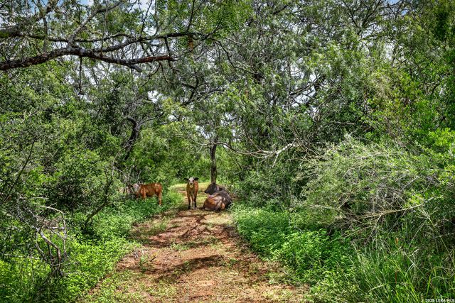 622 County Road 460, Stockdale, TX 78160
