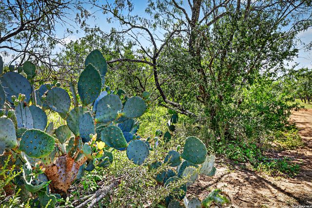 622 County Road 460, Stockdale, TX 78160