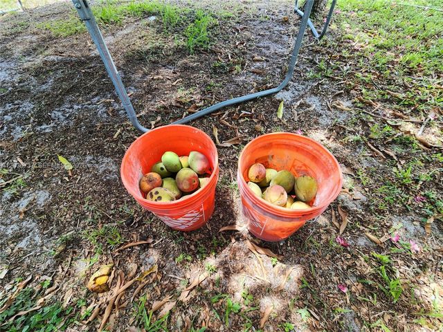 721 NW 33rd Avenue, Lauderhill, FL 33311