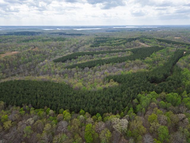0 Rustic Pines Rd, Dover, TN 37058