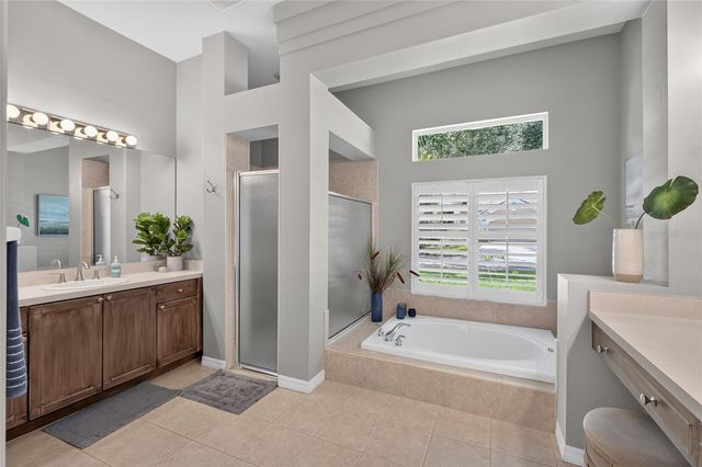9109 WOODRIDGE RUN DRIVE, Tampa, FL 33647
