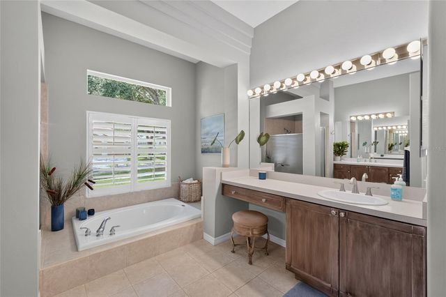 9109 WOODRIDGE RUN DRIVE, Tampa, FL 33647