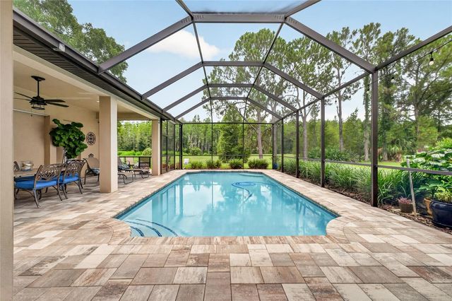 9109 WOODRIDGE RUN DRIVE, Tampa, FL 33647