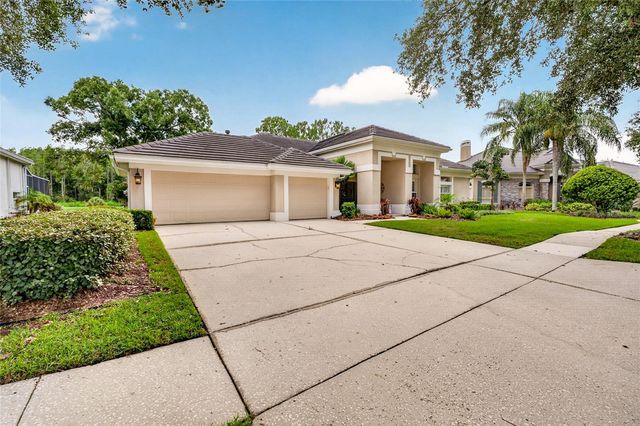 9109 WOODRIDGE RUN DRIVE, Tampa, FL 33647