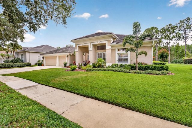 9109 WOODRIDGE RUN DRIVE, Tampa, FL 33647