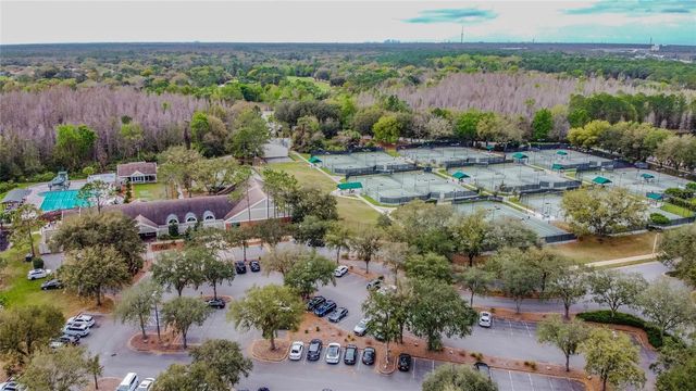 9109 WOODRIDGE RUN DRIVE, Tampa, FL 33647