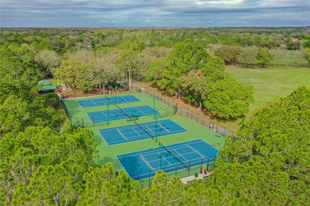 9109 WOODRIDGE RUN DRIVE, Tampa, FL 33647