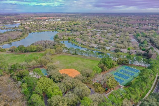 9109 WOODRIDGE RUN DRIVE, Tampa, FL 33647