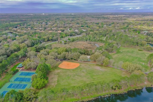 9109 WOODRIDGE RUN DRIVE, Tampa, FL 33647