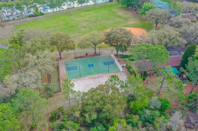 9109 WOODRIDGE RUN DRIVE, Tampa, FL 33647