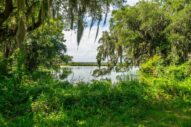 336 Coinbow Drive, Mount Pleasant, SC 29464