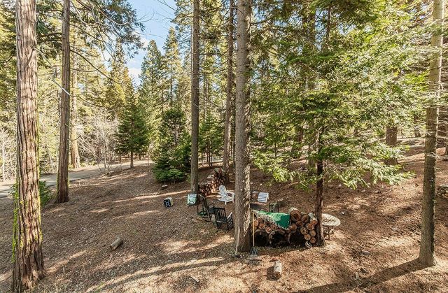 39132 Checkerbloom Lane, Shaver Lake, CA 93664