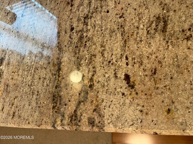 22 Cedar Village Boulevard, Brick, NJ 08724