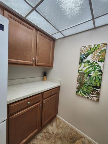 2132 LAKEWOOD CLUB DRIVE S 8B, St Petersburg, FL 33712