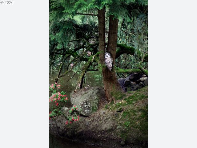 1876 PALISADES LAKE Ct, Lake Oswego, OR 97034