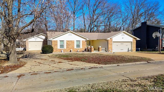113 Parkview Drive, Crystal City, MO 63019