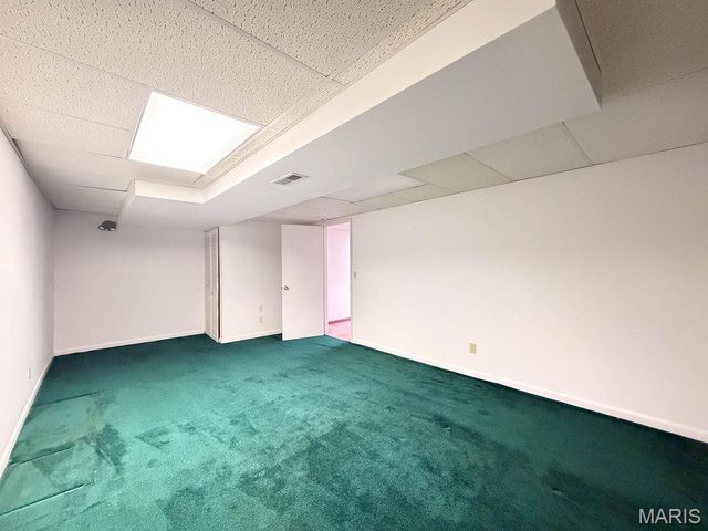 113 Parkview Drive, Crystal City, MO 63019