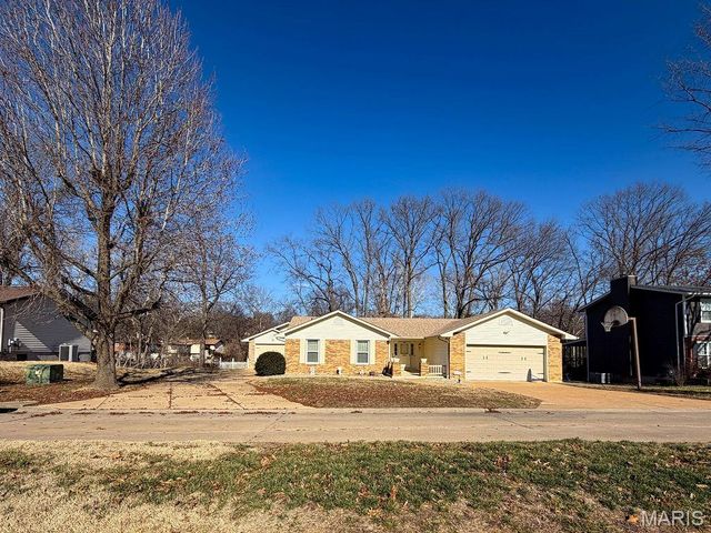 113 Parkview Drive, Crystal City, MO 63019