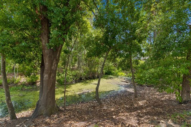 1005 HIGHGROVE COURT, Valrico, FL 33596